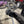 Load image into Gallery viewer, 40/80 Engine Mount Ford Coyote
